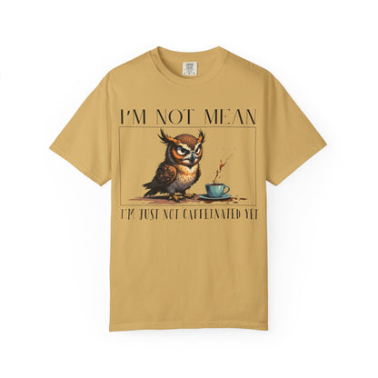I'm Not Mean Owl T-Shirt — Funny Coffee Owl Tee for Coffee Lovers