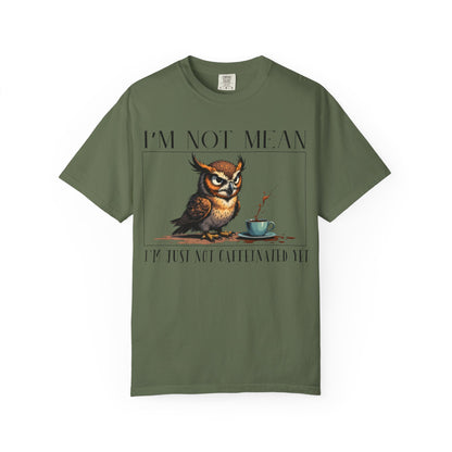 I'm Not Mean Owl T-Shirt — Funny Coffee Owl Tee for Coffee Lovers