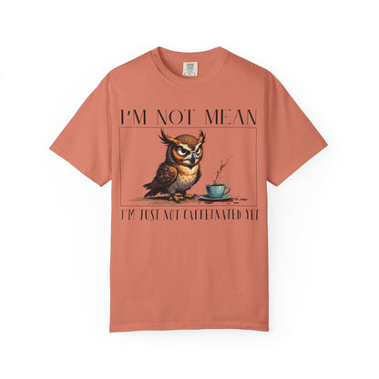 I'm Not Mean Owl T-Shirt — Funny Coffee Owl Tee for Coffee Lovers