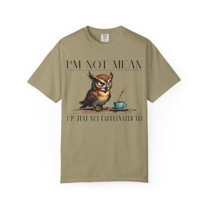 I'm Not Mean Owl T-Shirt — Funny Coffee Owl Tee for Coffee Lovers