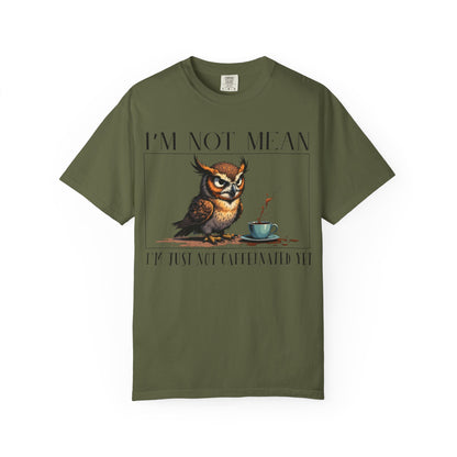 I'm Not Mean Owl T-Shirt — Funny Coffee Owl Tee for Coffee Lovers