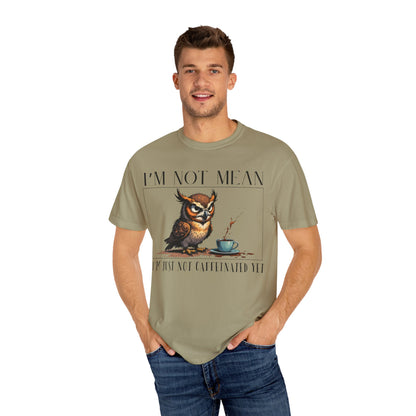 I'm Not Mean Owl T-Shirt — Funny Coffee Owl Tee for Coffee Lovers