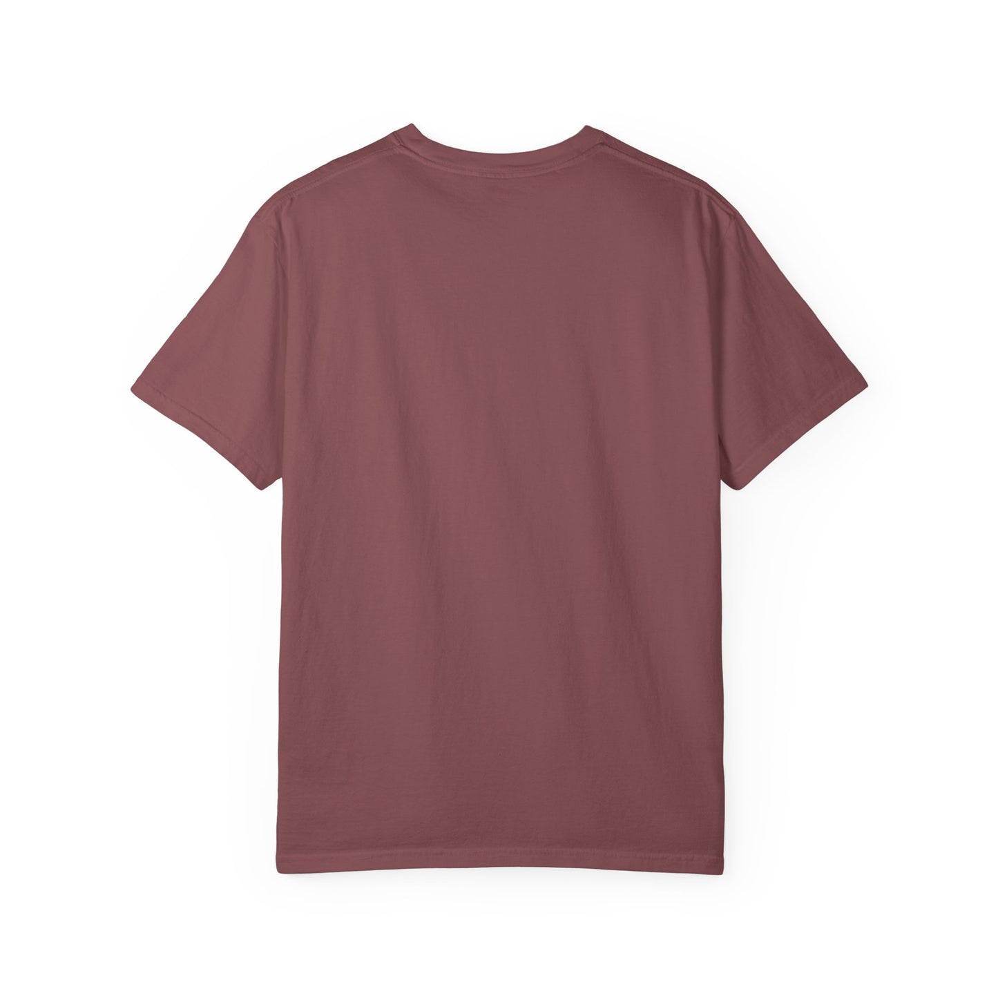 No Coffee No Talkie T-Shirt — Funny Owl Coffee Tee