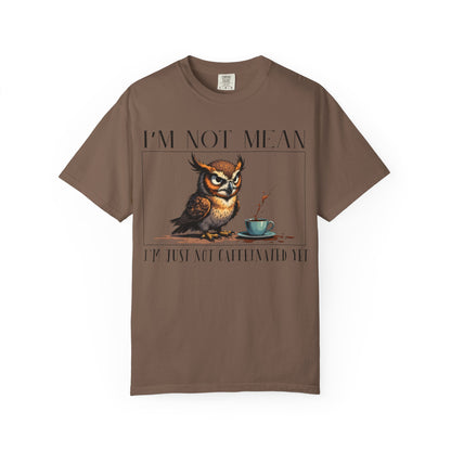 I'm Not Mean Owl T-Shirt — Funny Coffee Owl Tee for Coffee Lovers