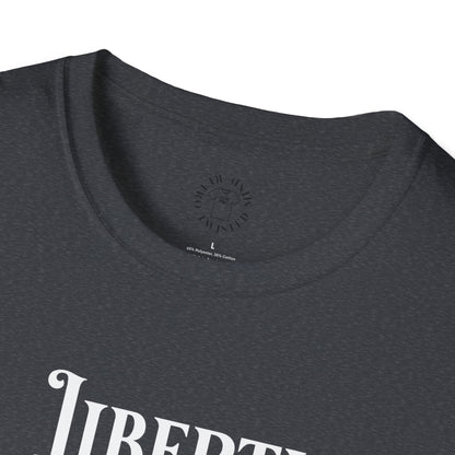 Patriotic Skull T-Shirt | Unisex Independence Day Tee