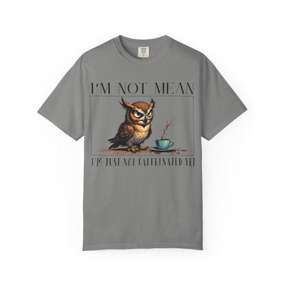 I'm Not Mean Owl T-Shirt — Funny Coffee Owl Tee for Coffee Lovers