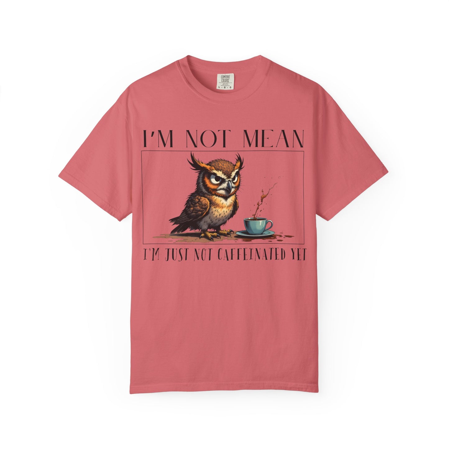 I'm Not Mean Owl T-Shirt — Funny Coffee Owl Tee for Coffee Lovers