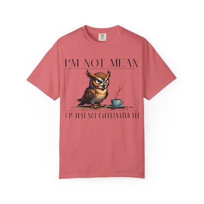 I'm Not Mean Owl T-Shirt — Funny Coffee Owl Tee for Coffee Lovers