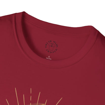 Empowered Women Unisex Softstyle T-Shirt - Bold & Confident Design, queen. girl
