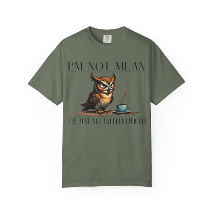 I'm Not Mean Owl T-Shirt — Funny Coffee Owl Tee for Coffee Lovers