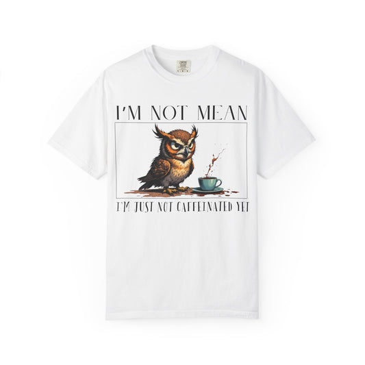 I'm Not Mean Owl T-Shirt — Funny Coffee Owl Tee for Coffee Lovers