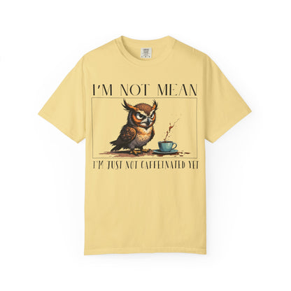 I'm Not Mean Owl T-Shirt — Funny Coffee Owl Tee for Coffee Lovers