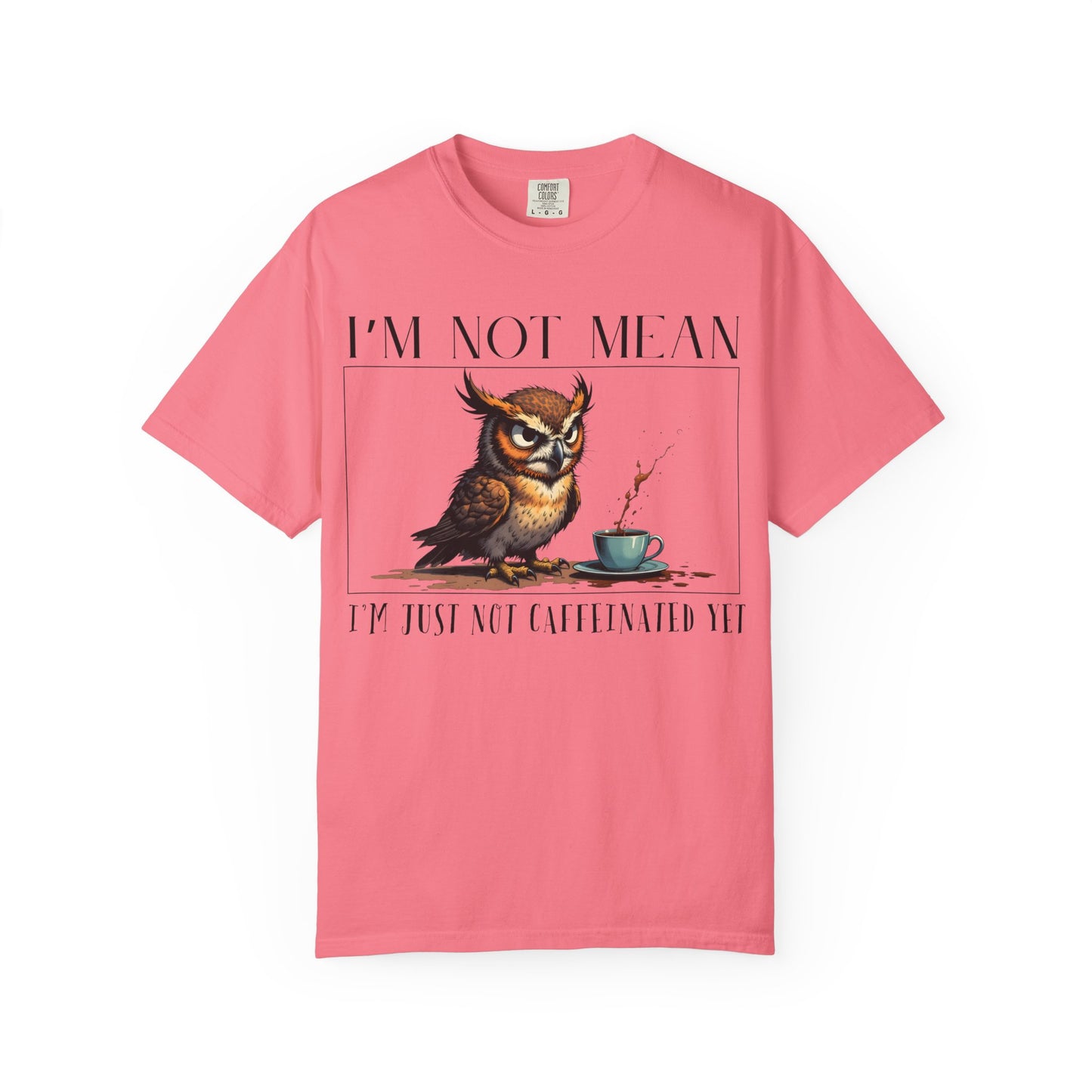 I'm Not Mean Owl T-Shirt — Funny Coffee Owl Tee for Coffee Lovers
