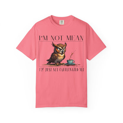 I'm Not Mean Owl T-Shirt — Funny Coffee Owl Tee for Coffee Lovers