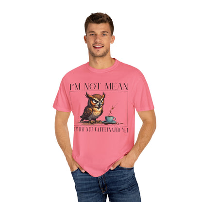 I'm Not Mean Owl T-Shirt — Funny Coffee Owl Tee for Coffee Lovers