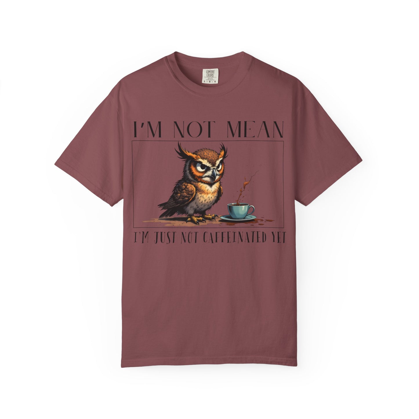 I'm Not Mean Owl T-Shirt — Funny Coffee Owl Tee for Coffee Lovers