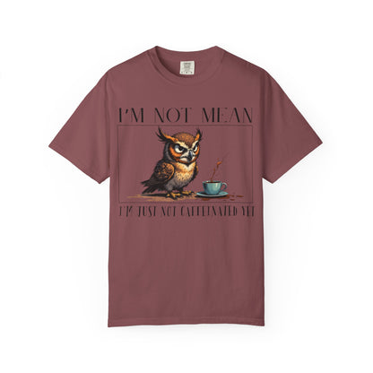 I'm Not Mean Owl T-Shirt — Funny Coffee Owl Tee for Coffee Lovers