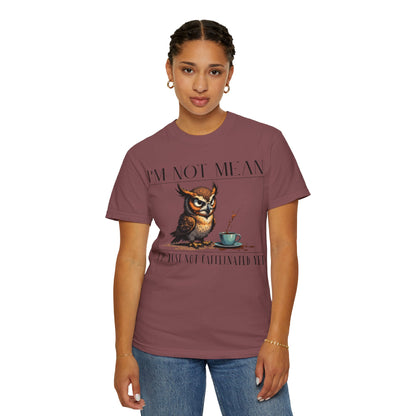 I'm Not Mean Owl T-Shirt — Funny Coffee Owl Tee for Coffee Lovers
